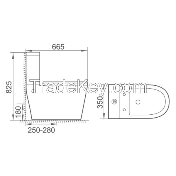 washdown two-piece toilet