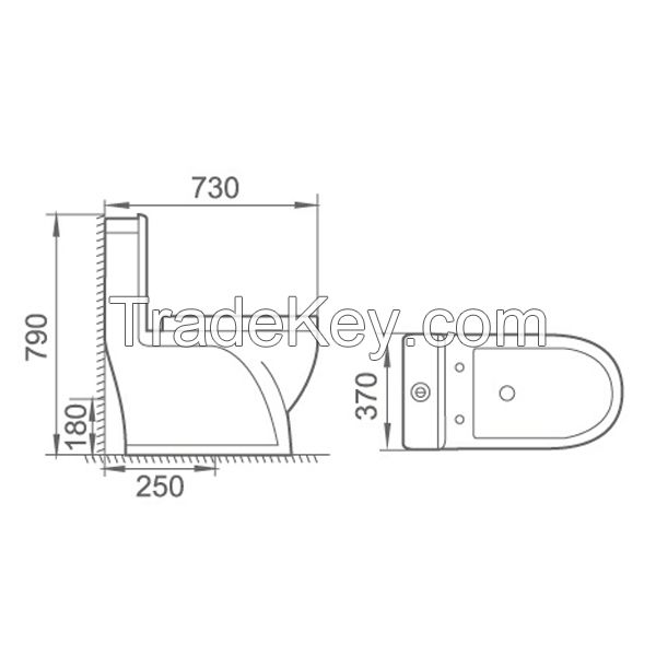 washdown one-piece toilet