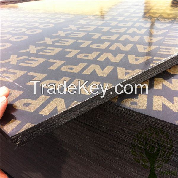 Shandong film faced plywood