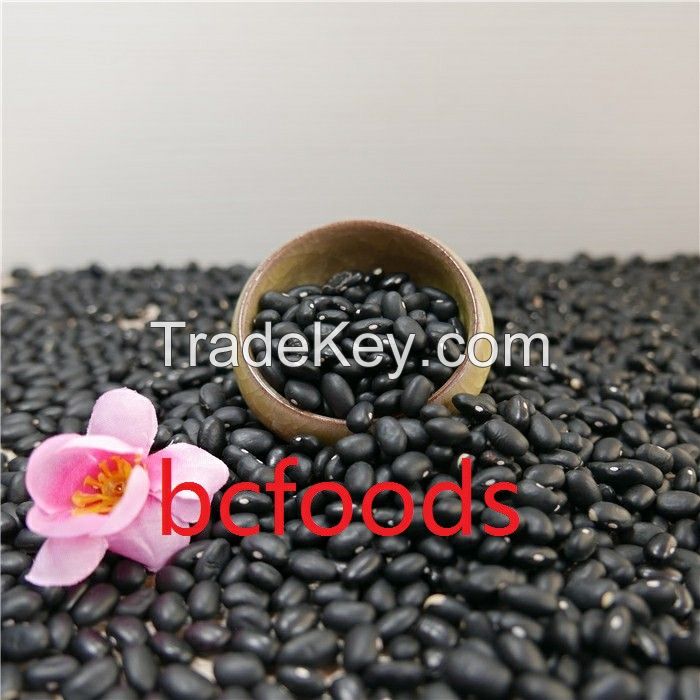 Black kidney beans