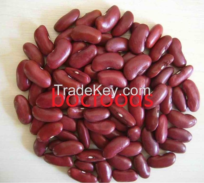 Dark red kidney beans