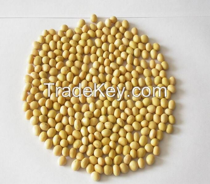 Soybeans