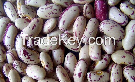 Light speckled kidney beans