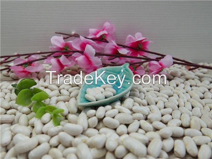 White kidney beans