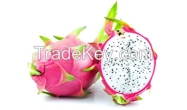 Fresh Dragon Fruits (White/Red Flesh)