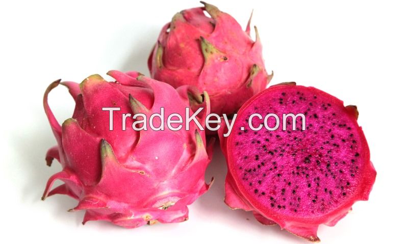 Fresh Dragon Fruits (White/Red Flesh)