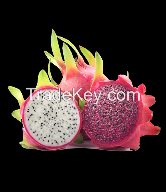 Fresh Dragon Fruits (White/Red Flesh)