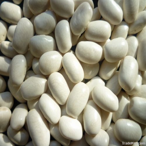 white kidney beans