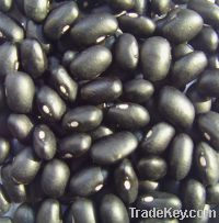 black kidney beans