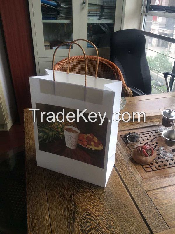Colors Printing Promotional Paper Bag With White Paper Rope