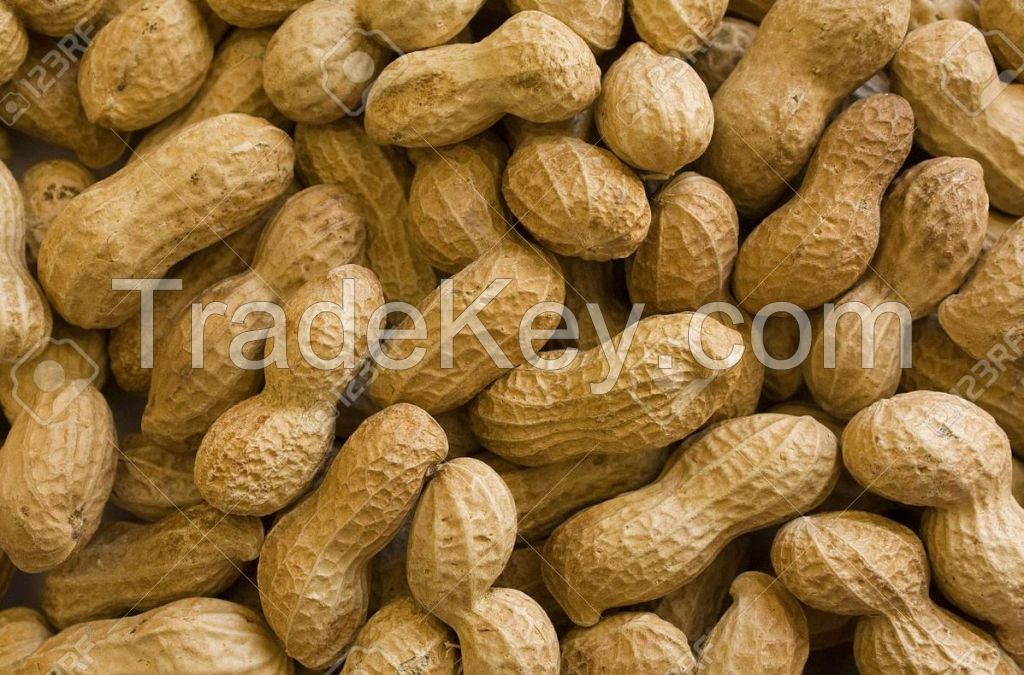 Peanuts