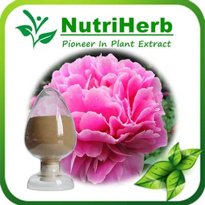 Peony Root Extract/White Peony Root Extract 98%Paeoniflorin