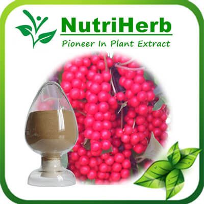 Schizandra Berry Fruit Extract / Schisandra Chinensis Extract /Schisandrin B/Schizandrins