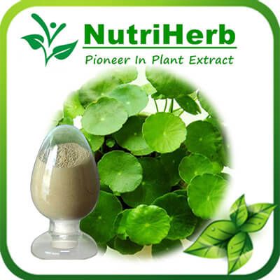 Natural Gotu Kola Extract Powder / Centella Asiatica Extract Asiaticoside & Madecassoside