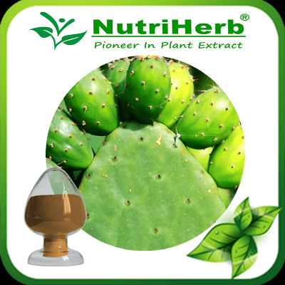 Natural Prickly Pears Extract/ Opuntia Ficus extract/Hoodia Cactus Extract