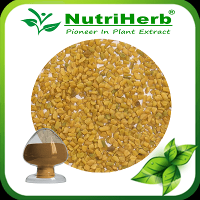 Natural Fenugreek Extract/Fenugreek Extract powder/fenugreek extract powder 50% saponins