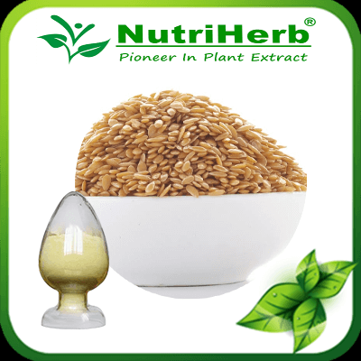 Natural Flax Seed Exract/Flaxseed Extract Flax Lignans Powder (SDG)
