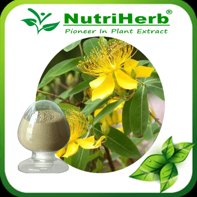 Hypericum Perforatum Extract/St. Johns Wort Extract Hypericin/Hyperin/Hyperoside