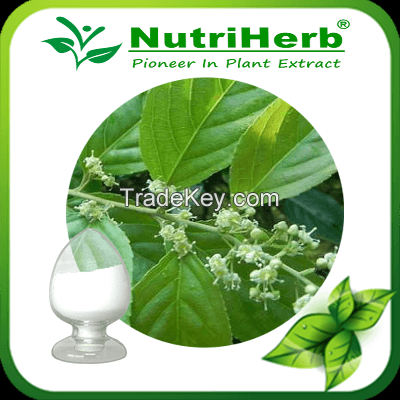 Thunder God Vine Extract / Lei Gong Teng Extract/Tripterygium Wilfordii Extract 98% Triptolide