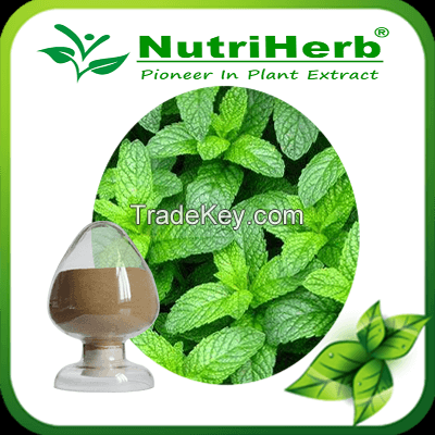 Mint Extract/PeppermintÂ Extract/Mentha Piperita extract/L-menthol/Mint Essential oil