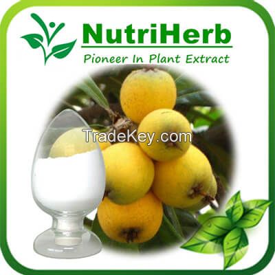 Loquat leaf Extract/Rosemary Extract Powder 25%-98% Ursolic Acid