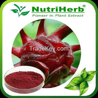 Ruselle Extract/Hibiscus Sabdariffa Extract/Roselle Extract Anthocyanidins