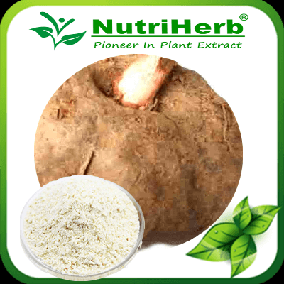 Konjaku Glucomannan Powder/Konjaku Flour Powder/ Konjac powder