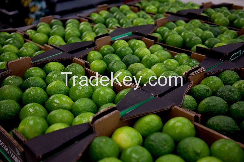 Lemons, oranges, pear, lime, avocado, mango. We are Suppliers of Fresh fruits and vegetables 