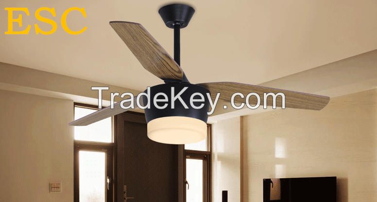 modern ceiling fan with led light