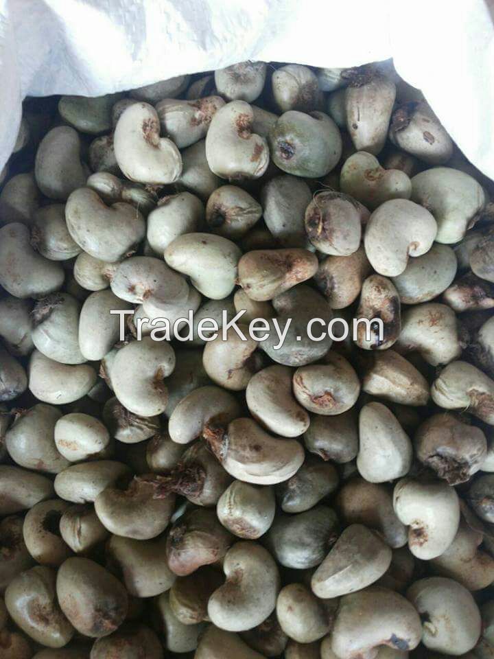 RAW CASHEWNUTS