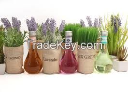 Seasoning Condiments Aromas Food coloring