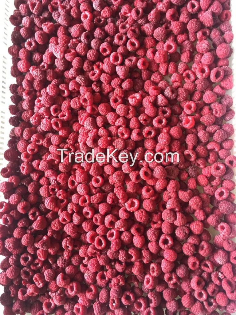 2016 New Crop IQF Raspberry Whole/Crumble