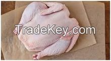 Hot Sale QUALITY Frozen Whole Chicken !!! 