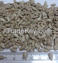 Sunflower Seeds/Sunflower Seeds Kernel Avialable!! 