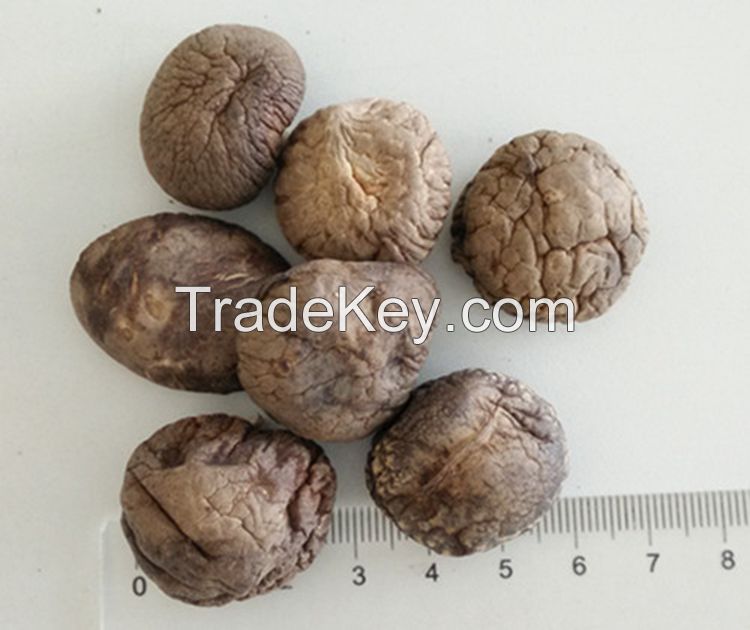 3KGS Pack Brown Dried Smooth Shiitake Mushroom Whole with Cap 3-4CM