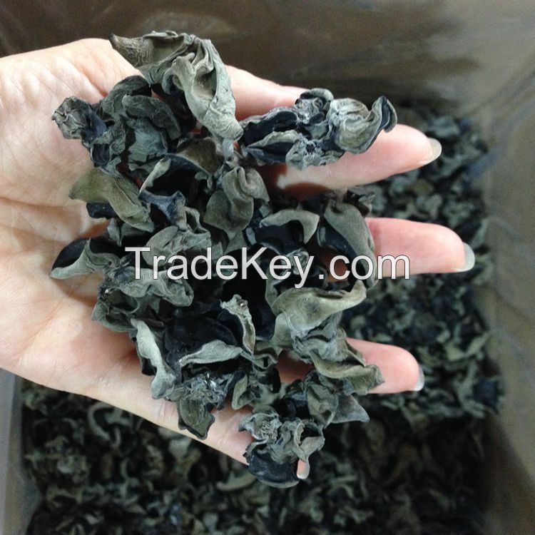 Dried Black Fungus Mushroom