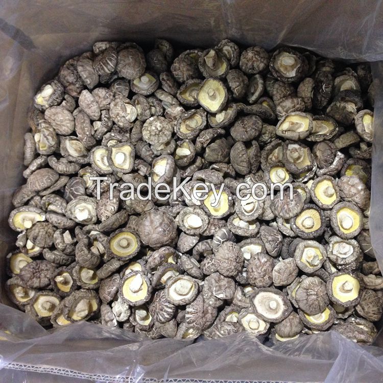 4-5CM Dried Tea Flower Mushroom Shiitake Whole in Bulk