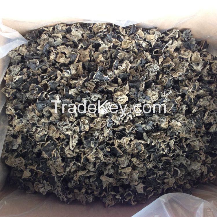 Dried Black Fungus Mushroom