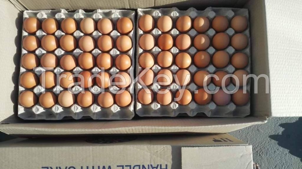 frozen chicken , chicken eggs,