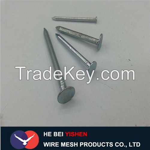 Low price high quality galvanized concrete nails