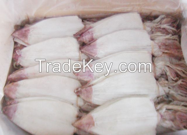 Dried loligo squid skinless