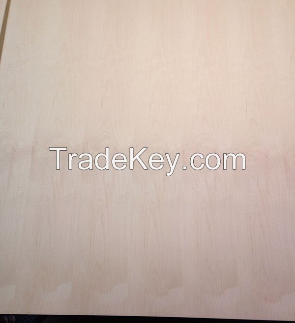 natural alder veneered plywood