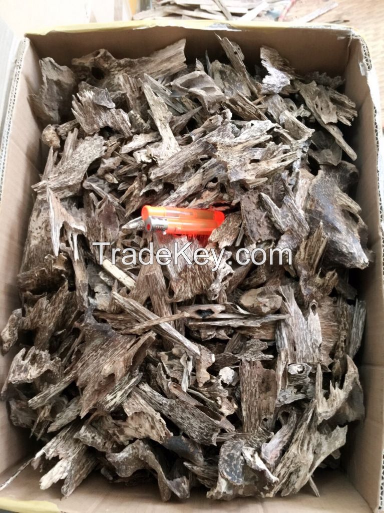 Agarwood chips