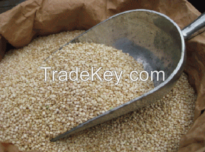 White Quinoa Grain - 40Kg Bulk