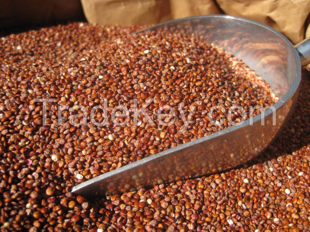 Red Quinoa Grain - 40Kg Bulk