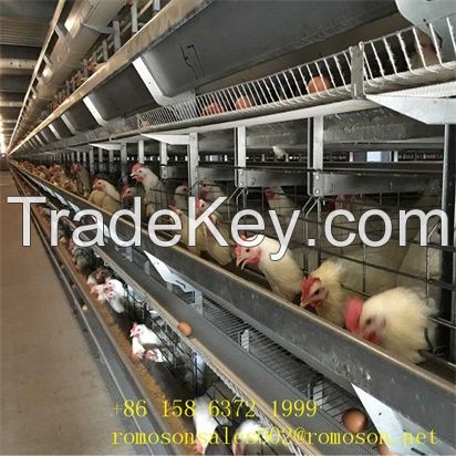 chicken cage system_shandong tobetter Complete kinds