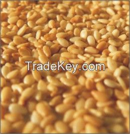 White and Brown Sesame seed sortex