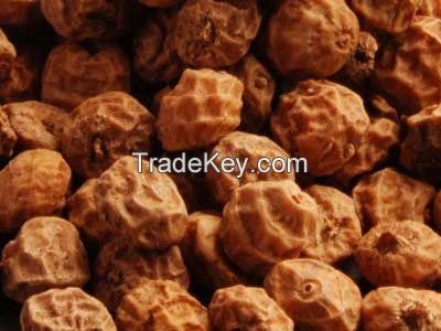 Tiger Nut