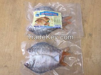 red tailed tinfoil barbs/ salted riverbarb