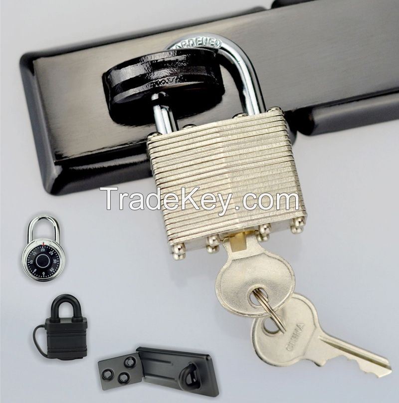 OEM Various Sizes of Hasp with Hardened Steel Locking Eye (HS202)